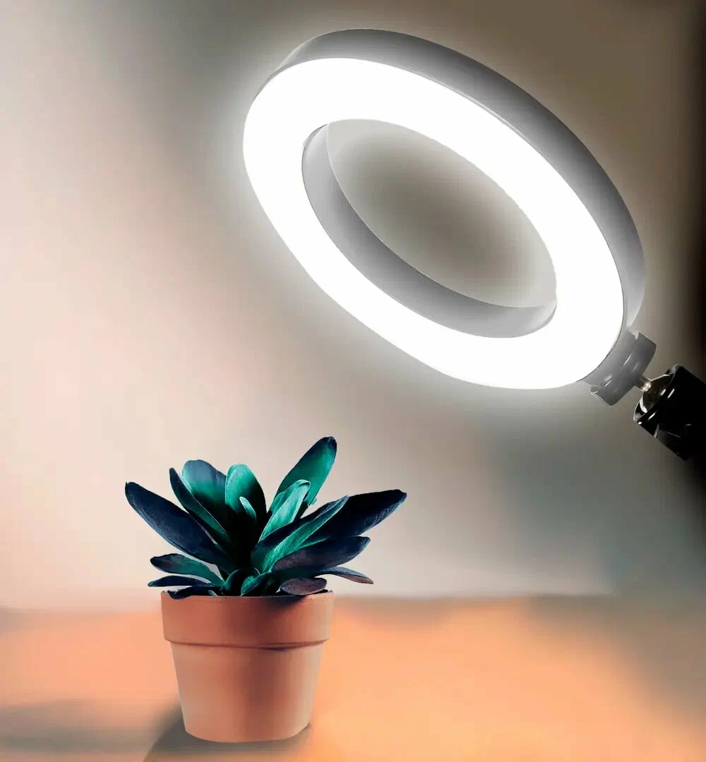 Кольцевая лампа для предметной съемки